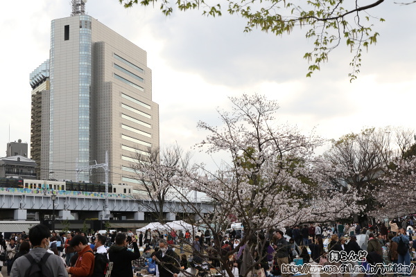 夕方になっても賑わう墨田区立隅田公園の脇を通過するスカイツリートレイン（その2）