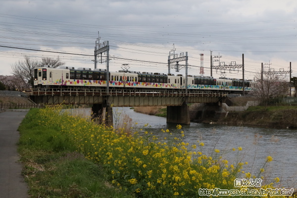 古利根川橋梁を渡るスカイツリートレイン