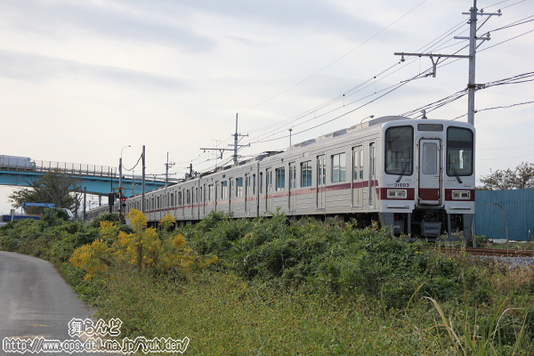 31603F{31403F]񑗁iS^̂Rj