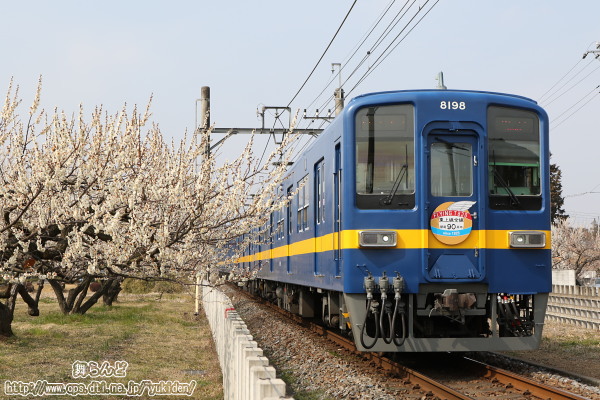 梅とフライング東上のリバイバルカラー（8198F）
